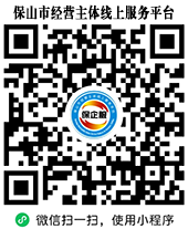 保山市经营主体线上服务平台